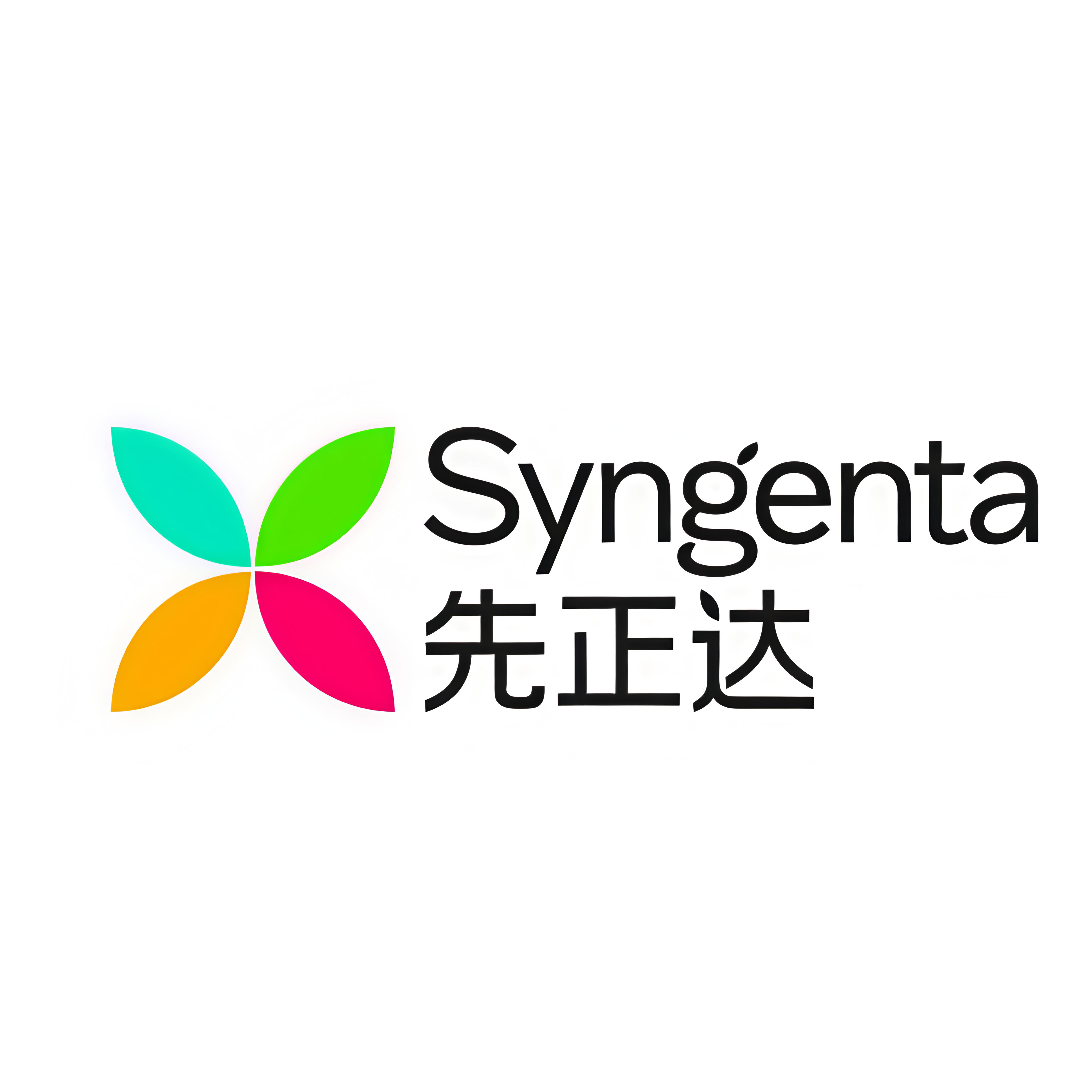 <b>先正達(dá)集團(tuán)公司</b>